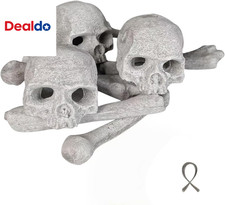 9 Pezzi Teschi in Ceramica per